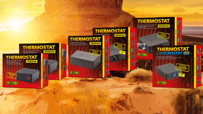 Exo Terra – Termostaatti 600 W – himmennystoiminnolla ja päivä/yö-tilalla, Exo Terra - Termostaatti 600 W