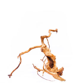 Aquarium / terrarium wood - Red moor - Big