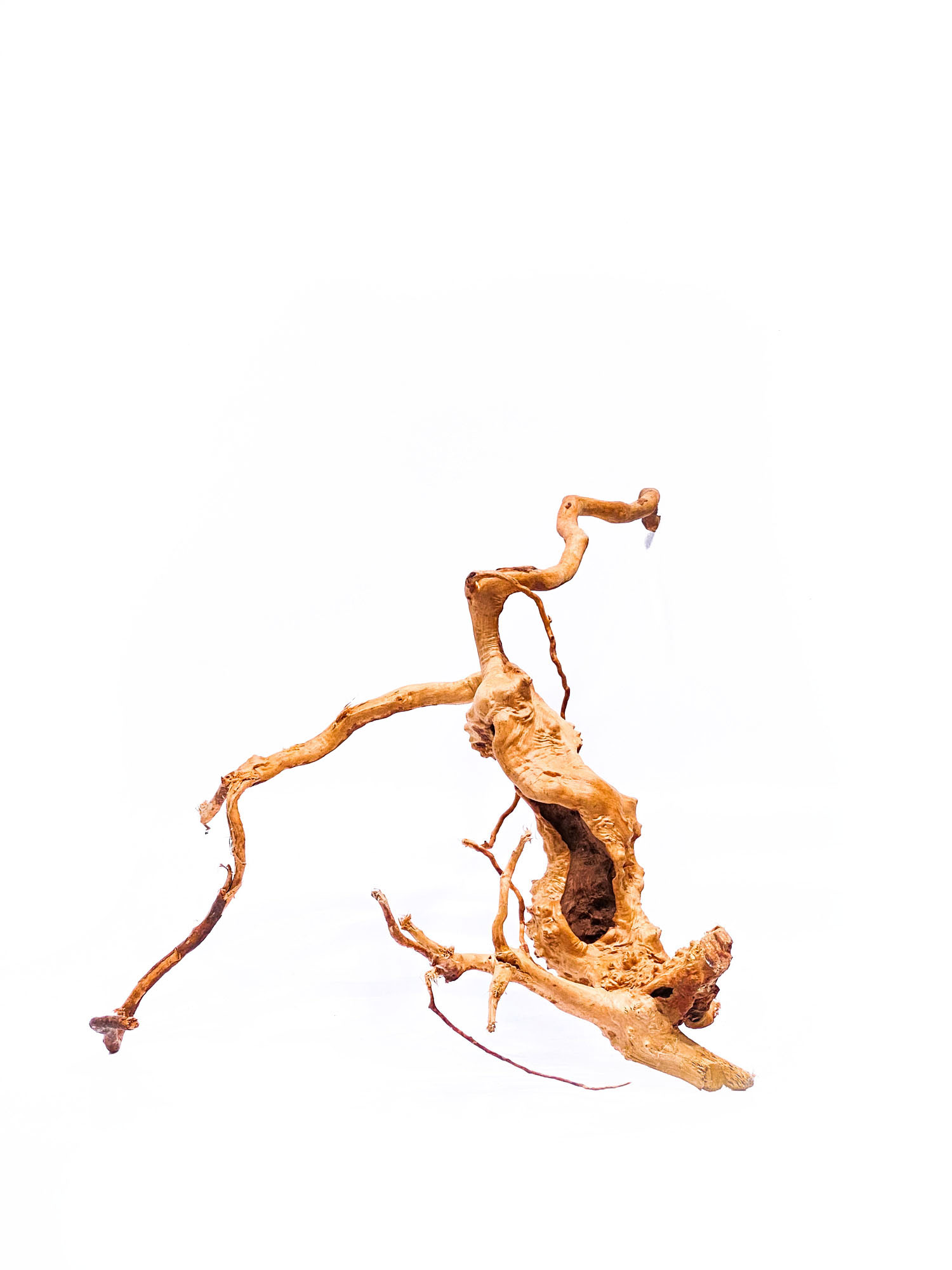 10a Koreň pre terárium / akvárium Red Moor - veľký – Obrázok 1