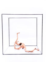 Aquarium / terrarium wood - Red moor - Big - Image 2