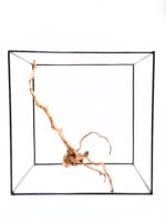 Koreň pre terárium / akvárium Red Moor - veľký – Obrázok 3