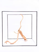 Koreň pre terárium / akvárium Red Moor - veľký – Obrázok 2