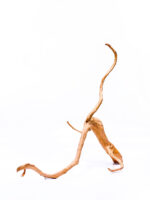 Koreň pre terárium / akvárium Red Moor - veľký