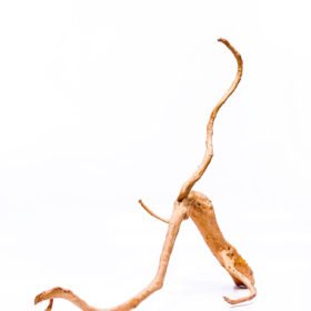 Koreň pre terárium / akvárium Red Moor - veľký