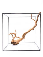 Radice per acquario / terrario - Red Moor - grande - immagine 2