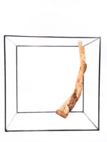 Aquarium / terrarium wood - Red moor - Big - Image 3