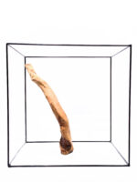 Aquarium / terrarium wood - Red moor - Big - Image 2