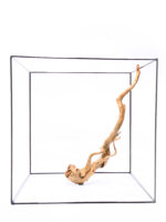 Radice per acquario / terrario - Red Moor - grande - immagine 3