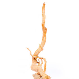 Aquarium / terrarium wood - Red moor - Big