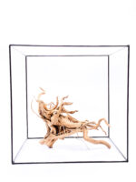 Aquarium / terrarium wood - Red moor - Big - Image 3