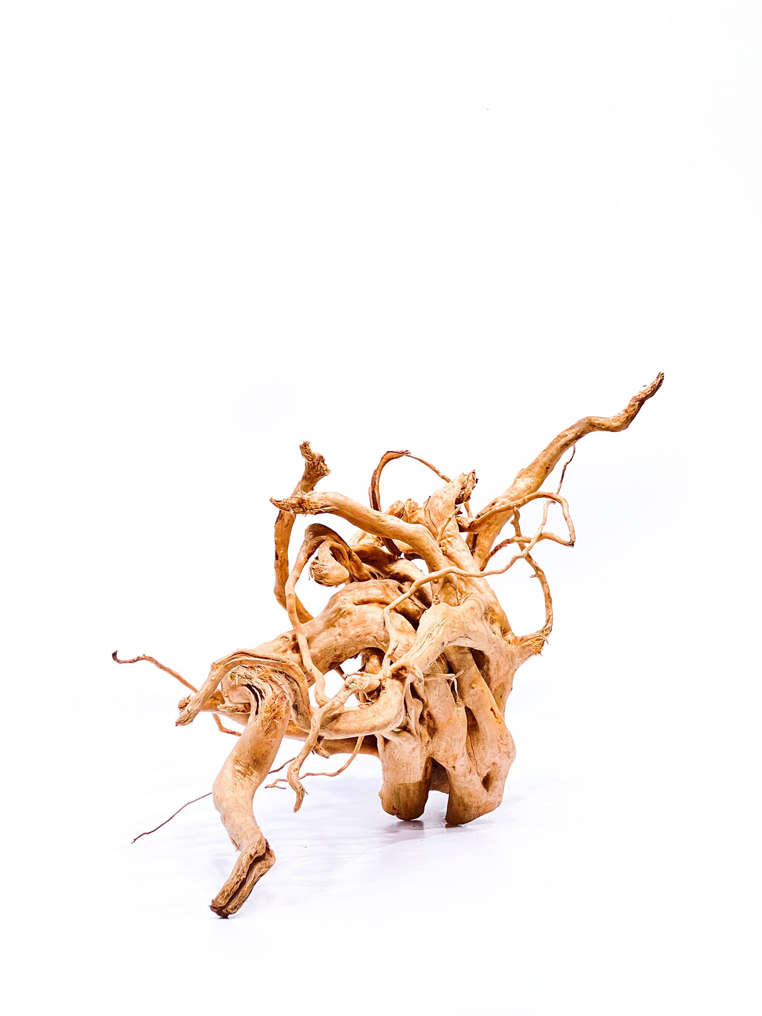 18a Aquarium / terrarium wood - Red moor - Big - Image 1