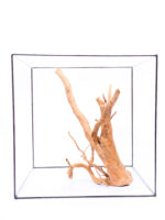 Radice per acquario / terrario - Red Moor - grande - immagine 2