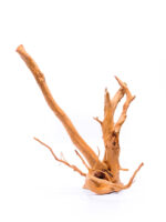 Radice per acquario / terrario - Red Moor - grande