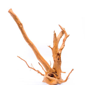 Aquarium / terrarium wood - Red moor - Big