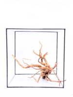 Korzeń do terrarium / akwarium Red Moor - Średni - obrazek 2