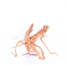 Korzeń do terrarium / akwarium Red Moor - Średni