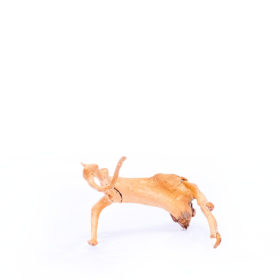 Radice per acquario / terrario - Red Moor - medio