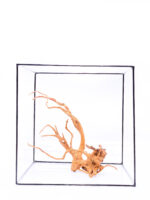 Radice per acquario / terrario - Red Moor - medio - immagine 2