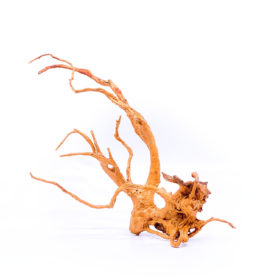 Aquarium / terrarium wood - Red moor - Medium