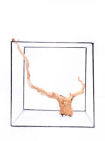 Aquarium / terrarium wood - Red moor - Medium - Image 3