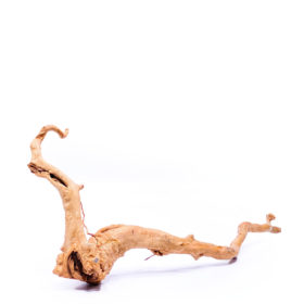 Radice per acquario / terrario - Red Moor - medio