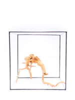 Radice per acquario / terrario - Red Moor - medio - immagine 3