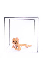 Terarijní / akvarijní kořen Red Moor - střední - Obrázek 2