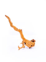 Terarijní / akvarijní kořen Red Moor - střední