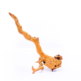 Radice per acquario / terrario - Red Moor - medio