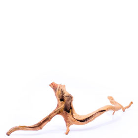 Korzeń do terrarium / akwarium Red Moor - Średni