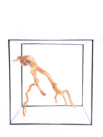 Korzeń do terrarium / akwarium Red Moor - Średni - obrazek 2