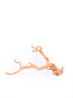 Zestaw startowy - hodowla drzewołazów - obrazek 12