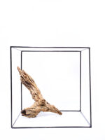 Aquarium / terrarium wood - Plant Wood - Small/Medium - Image 2