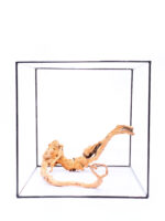 Terrarium / Aquarium Wurzel Red Moor – Medium – Bild 3