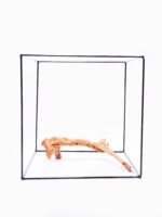 Terarijní / akvarijní kořen Red Moor - střední - Obrázek 2