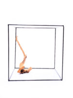 Terarijní / akvarijní kořen Red Moor - střední - Obrázek 3