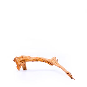 Terrarium / Aquarium Wurzel Red Moor – Medium