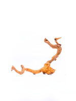 Terarijní / akvarijní kořen Red Moor - střední