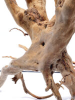 Aquarium / terrarium wood - Stamp - Big - Image 6