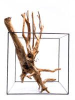 Aquarium / terrarium wood - Stamp - Big - Image 5