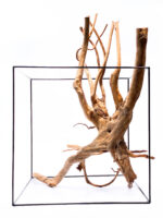 Aquarium / terrarium wood - Stamp - Big - Image 3