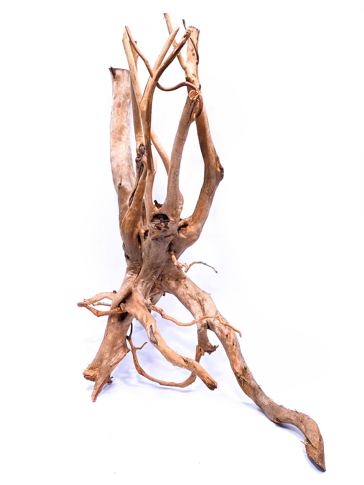 37a Aquarium / terrarium wood - Stamp - Big - Image 1