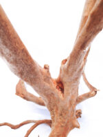 Terarijní / akvarijní kořen Stamp – velký - Obrázek 5