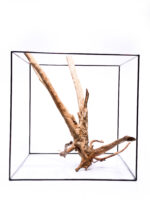 Terarijní / akvarijní kořen Stamp – velký - Obrázek 4