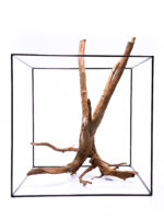 Terarijní / akvarijní kořen Stamp – velký - Obrázek 2