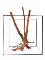 Terarijní / akvarijní kořen Stamp – velký - Obrázek 3