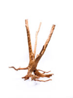 Terarijní / akvarijní kořen Stamp – velký