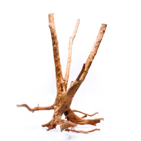 Aquarium / terrarium wood - Stamp - Big