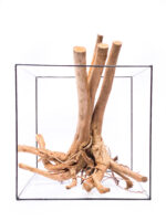 Aquarium / terrarium wood - Stamp - Big - Image 2