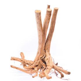 Aquarium / terrarium wood - Stamp - Big